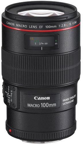 EF 100 macro